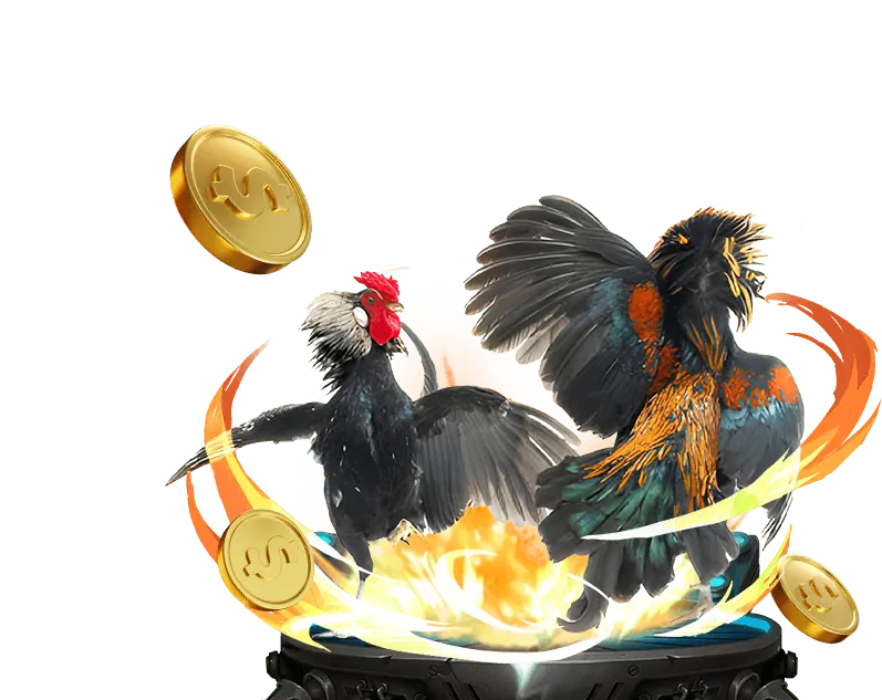 Các kênh liên hệ hỗ trợ của 9bet App